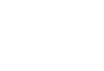 wiserbrand logo white