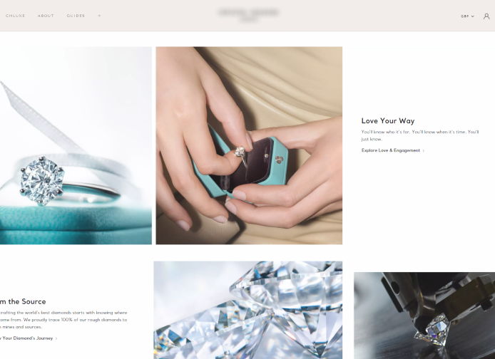 Top eCommerce Platforms for Jewelry Business