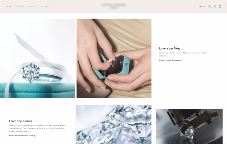 Luxury Custom Website Design & Brand Strategy — A Wiser Website