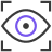 Schematic Eye inside Four Corners Icon