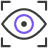 Schematic Eye inside Four Corners Icon